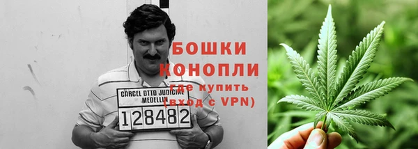 гидра Лиски