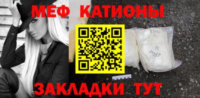 индика Кингисепп