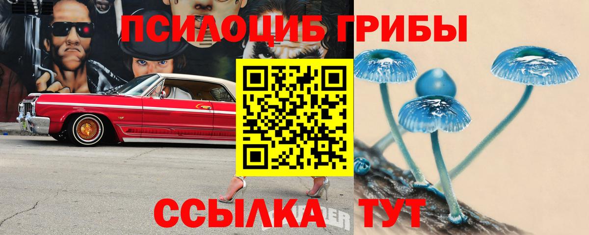 Майский  Псилоцибиновые грибы Psilocybe  Вход с VPN 
